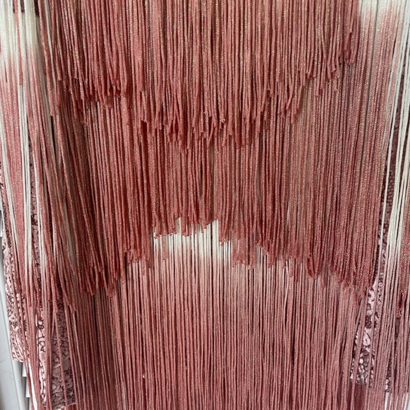 ALEXIS Cream/Blush Fringed Velvet Mini Dress (NEW WITH TAGS) - Picture 5 of 7